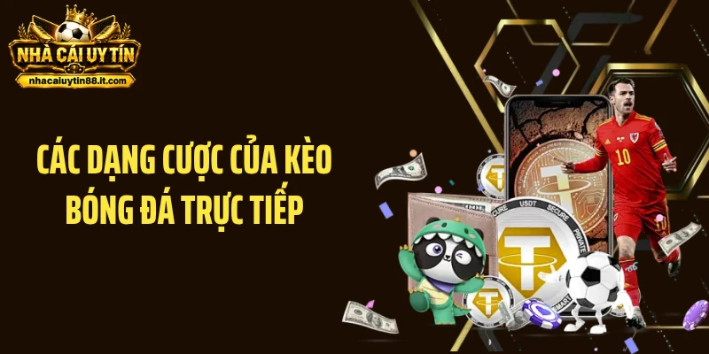 Các dạng cược của kèo bóng đá trực tiếp