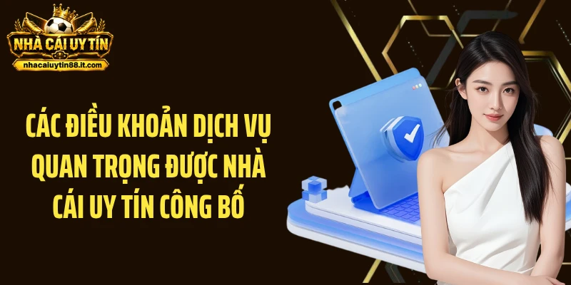 Các điều khoản dịch vụ quan trọng được Nhà Cái Uy Tín công bố