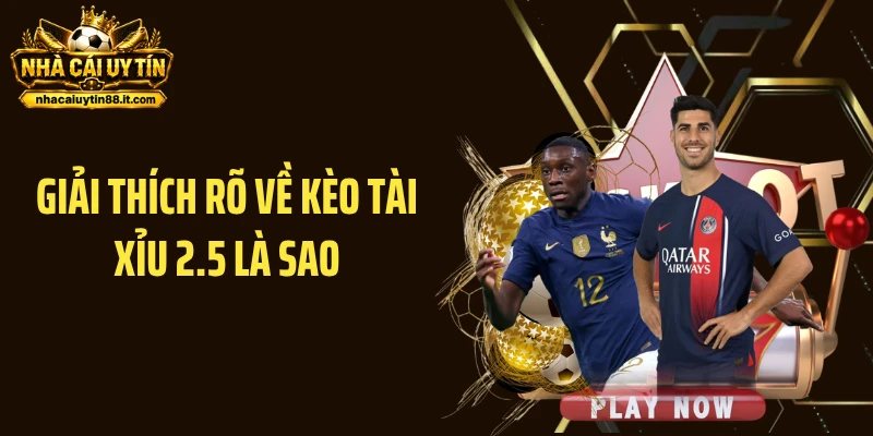 Giải thích rõ về kèo tài xỉu 2.5 là sao
