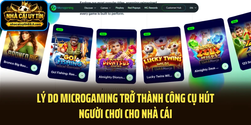 Lý do Microgaming trở thành công cụ hút người chơi cho nhà cái