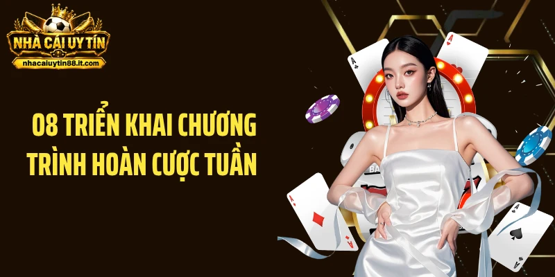 O8 Triển Khai Chương Trình Hoàn Cược Tuần Tỷ Lệ Lên Tới 2% 