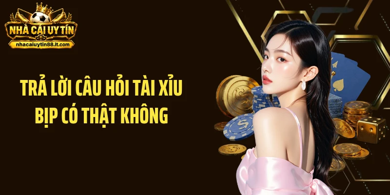 Trả lời câu hỏi tài xỉu bịp có thật không